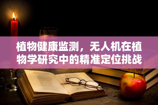 植物健康监测，无人机在植物学研究中的精准定位挑战