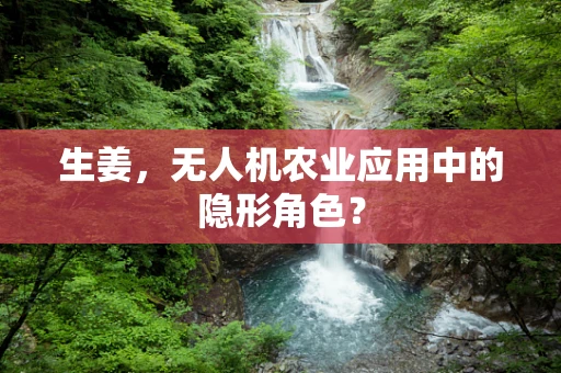 生姜，无人机农业应用中的隐形角色？
