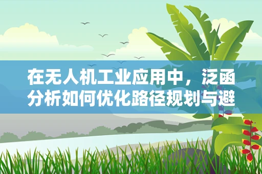 在无人机工业应用中，泛函分析如何优化路径规划与避障策略？