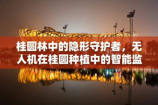 桂圆林中的隐形守护者，无人机在桂圆种植中的智能监测挑战