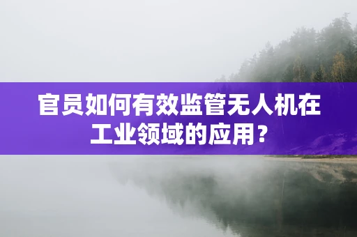 官员如何有效监管无人机在工业领域的应用？