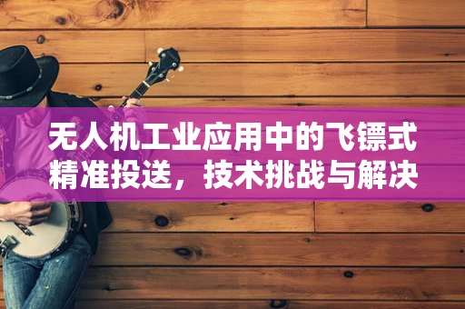 无人机工业应用中的飞镖式精准投送，技术挑战与解决方案？