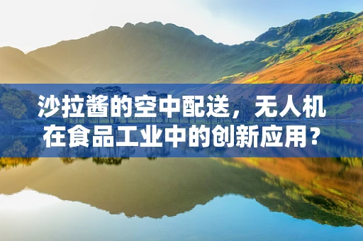 沙拉酱的空中配送，无人机在食品工业中的创新应用？