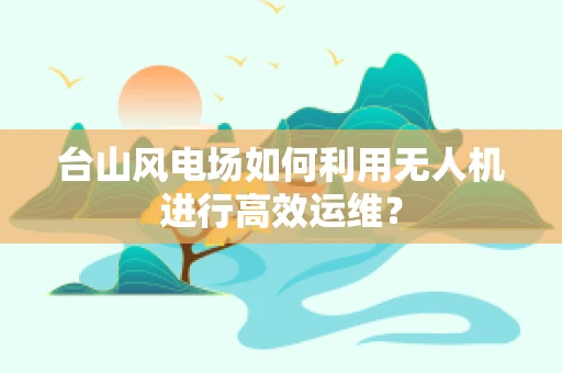 台山风电场如何利用无人机进行高效运维？