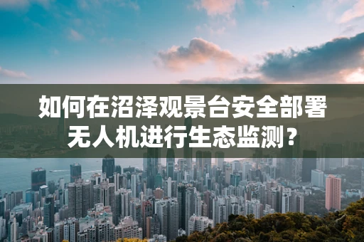 如何在沼泽观景台安全部署无人机进行生态监测？
