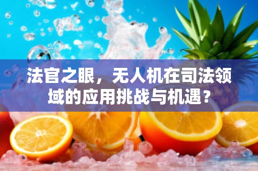 法官之眼，无人机在司法领域的应用挑战与机遇？