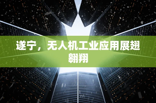 遂宁，无人机工业应用展翅翱翔