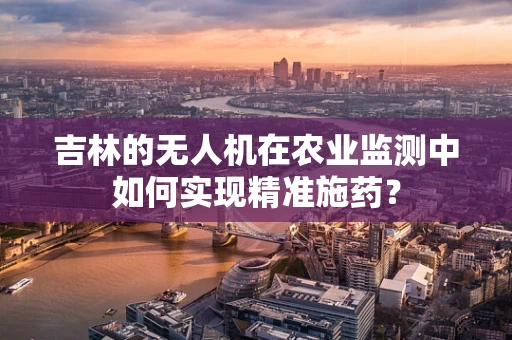 吉林的无人机在农业监测中如何实现精准施药？