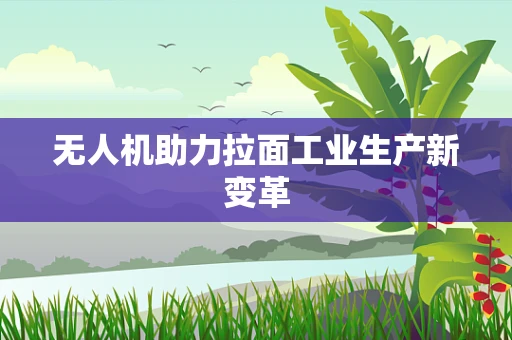 无人机助力拉面工业生产新变革
