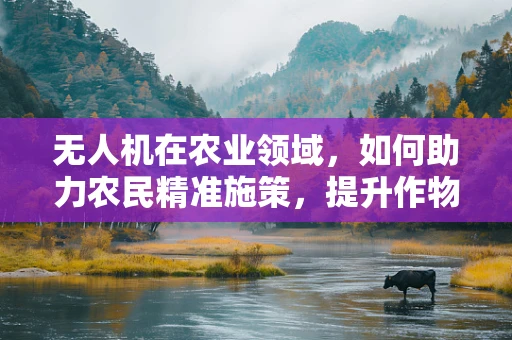 无人机在农业领域，如何助力农民精准施策，提升作物产量？