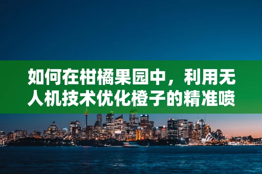 如何在柑橘果园中，利用无人机技术优化橙子的精准喷洒与监测？