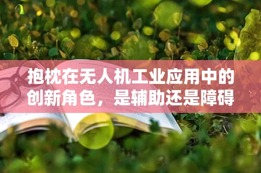 抱枕在无人机工业应用中的创新角色，是辅助还是障碍？