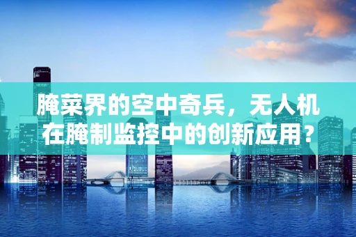 腌菜界的空中奇兵，无人机在腌制监控中的创新应用？