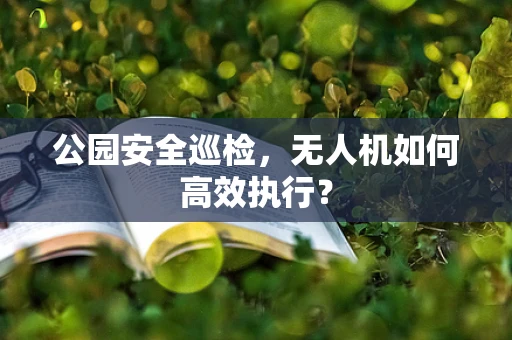 公园安全巡检，无人机如何高效执行？
