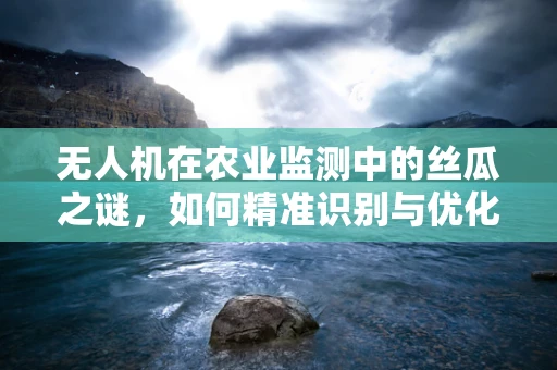无人机在农业监测中的丝瓜之谜，如何精准识别与优化种植？
