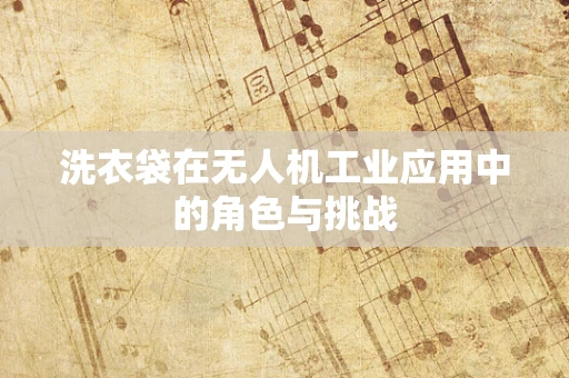 洗衣袋在无人机工业应用中的角色与挑战
