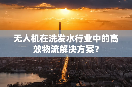 无人机在洗发水行业中的高效物流解决方案？