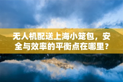 无人机配送上海小笼包，安全与效率的平衡点在哪里？