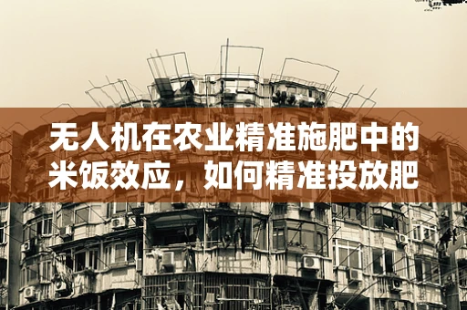 无人机在农业精准施肥中的米饭效应，如何精准投放肥料以提升水稻产量？