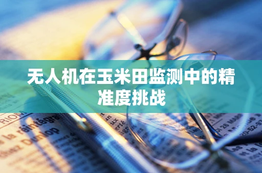 无人机在玉米田监测中的精准度挑战