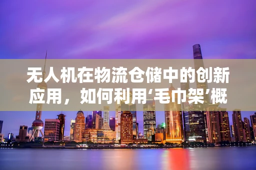 无人机在物流仓储中的创新应用，如何利用‘毛巾架’概念优化货物自动分类与存放？