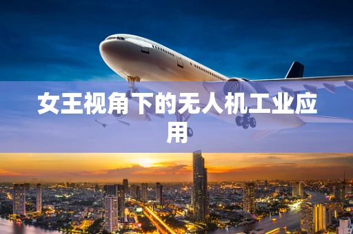 女王视角下的无人机工业应用
