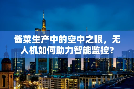 酱菜生产中的空中之眼，无人机如何助力智能监控？
