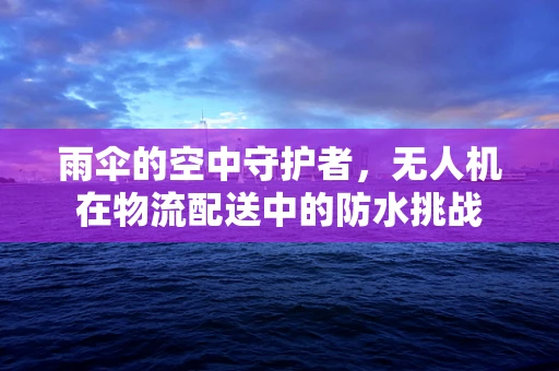雨伞的空中守护者，无人机在物流配送中的防水挑战