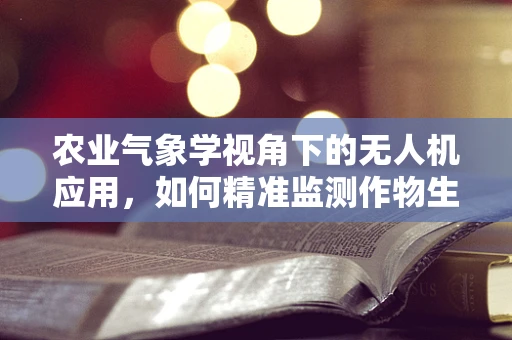 农业气象学视角下的无人机应用，如何精准监测作物生长环境？