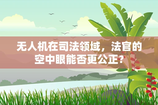 无人机在司法领域，法官的空中眼能否更公正？