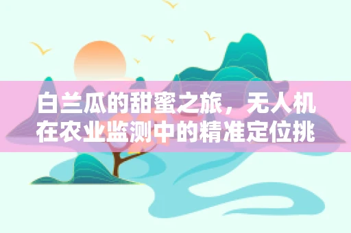 白兰瓜的甜蜜之旅，无人机在农业监测中的精准定位挑战