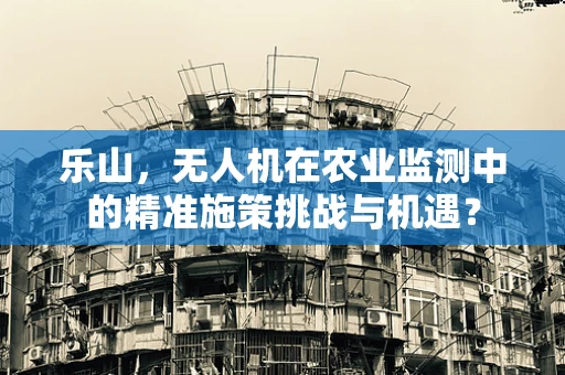 乐山，无人机在农业监测中的精准施策挑战与机遇？