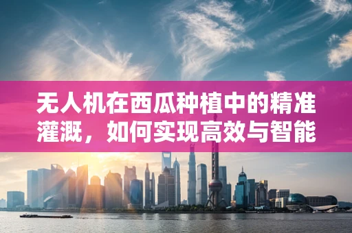 无人机在西瓜种植中的精准灌溉，如何实现高效与智能？