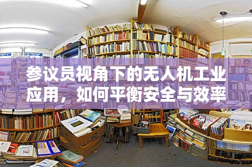 参议员视角下的无人机工业应用，如何平衡安全与效率的双重挑战？