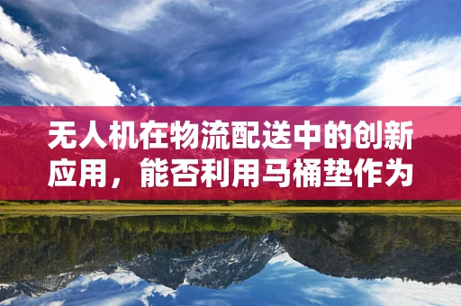 无人机在物流配送中的创新应用，能否利用马桶垫作为特殊货物的安全运输方案？