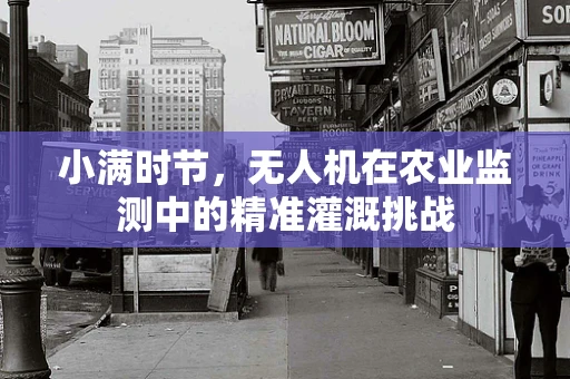 小满时节，无人机在农业监测中的精准灌溉挑战
