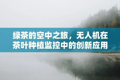 绿茶的空中之旅，无人机在茶叶种植监控中的创新应用？