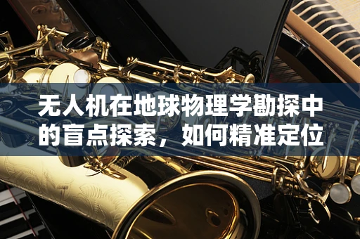 无人机在地球物理学勘探中的盲点探索，如何精准定位与数据收集？