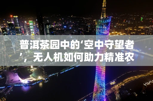 普洱茶园中的‘空中守望者’，无人机如何助力精准农业？