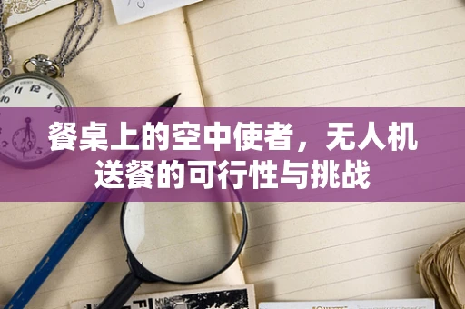餐桌上的空中使者，无人机送餐的可行性与挑战