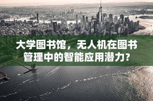 大学图书馆，无人机在图书管理中的智能应用潜力？