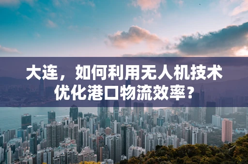 大连，如何利用无人机技术优化港口物流效率？