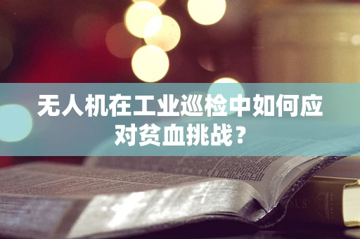 无人机在工业巡检中如何应对贫血挑战？