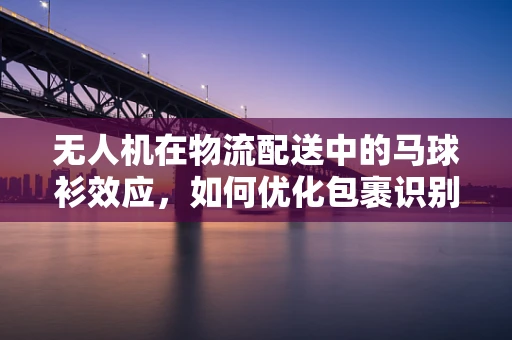 无人机在物流配送中的马球衫效应，如何优化包裹识别与安全？