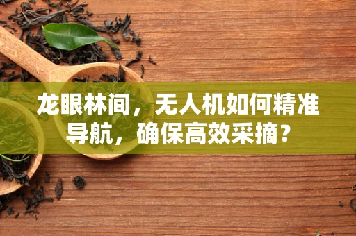 龙眼林间，无人机如何精准导航，确保高效采摘？