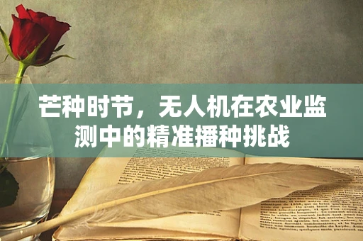 芒种时节，无人机在农业监测中的精准播种挑战