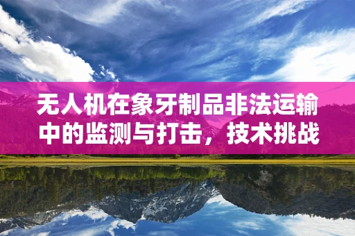 无人机在象牙制品非法运输中的监测与打击，技术挑战与解决方案