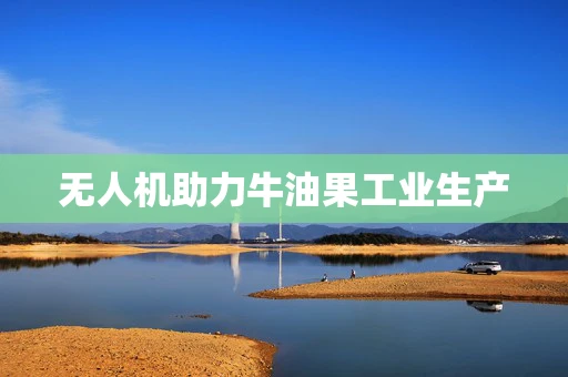 无人机助力牛油果工业生产