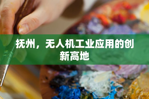 抚州，无人机工业应用的创新高地