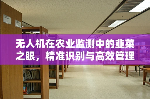 无人机在农业监测中的韭菜之眼，精准识别与高效管理的挑战